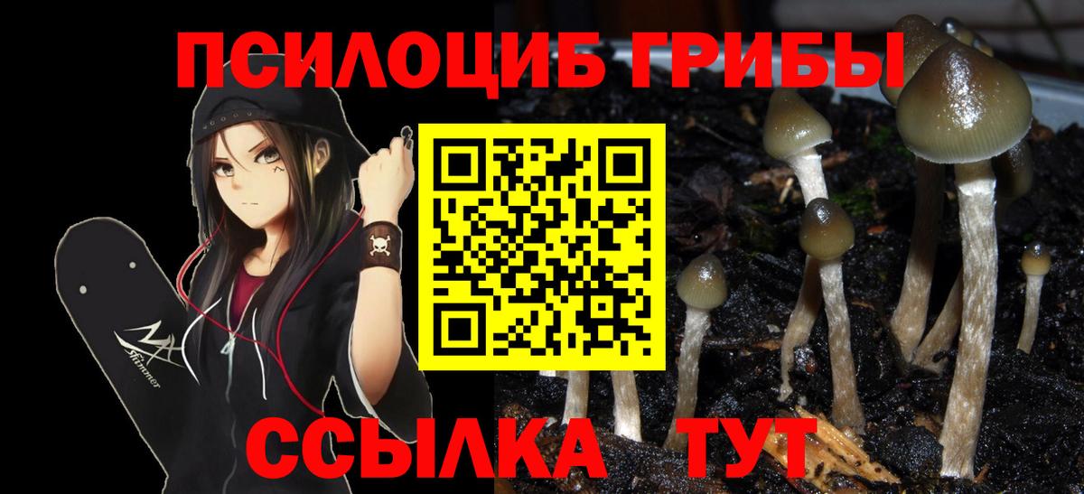 Псилоцибиновые грибы ЛСД  Вход с VPN  Галлюциногенные грибы Psilocybe  Переславль-Залесский 